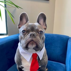 Meet your Posher, Brian